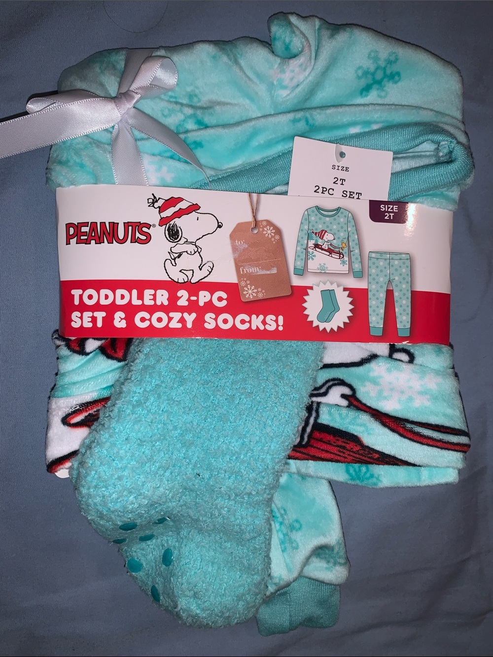 Peanuts Aqua Toddler 2-Piece Pajama Set with Cozy Aqua 2T